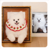 3D pet wool half body