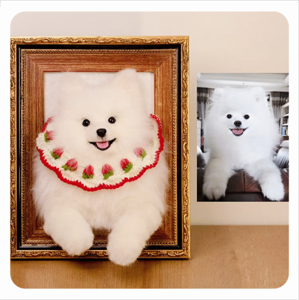 3D pet wool half body