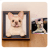 3D pet wool half body
