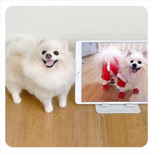 tb_image_share_1747475487592.jpg 3D handmade wool full body