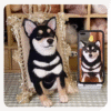 3D pet wool half body
