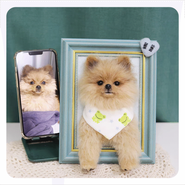 3D pet wool half body