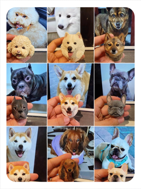 3D magnetic pet avatar