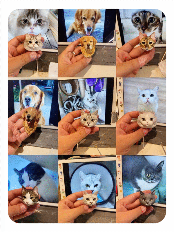 3D magnetic pet avatar